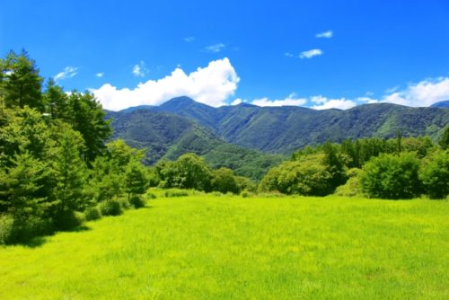 仮想通貨 節税対策 ふるさと納税 仕組み おススメサイト