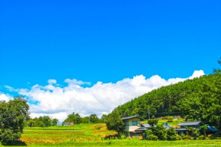仮想通貨 節税対策 ふるさと納税 控除上限金額 計算ツール ご紹介