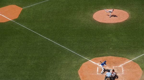 プロ野球好き委員会 会長たけぽん プロフィール 経歴