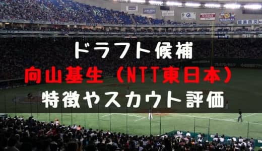 【ドラフト】向山基生（NTT東日本）の成績・経歴・特徴