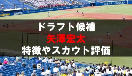 【ドラフト】矢澤宏太（日体大）の動画・選手情報・経歴